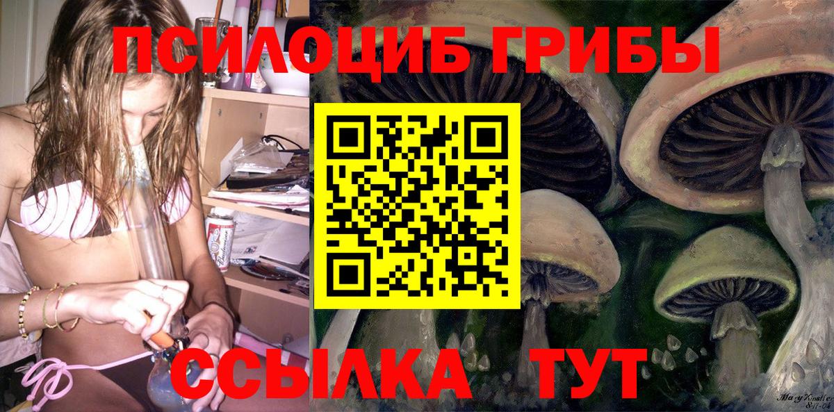 Галлюциногенные грибы Cubensis  Вход с VPN  Тверь  Галлюциногенные грибы прущие грибы 